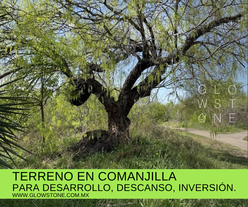 TERRENO EN VENTA EN COMANJILLA