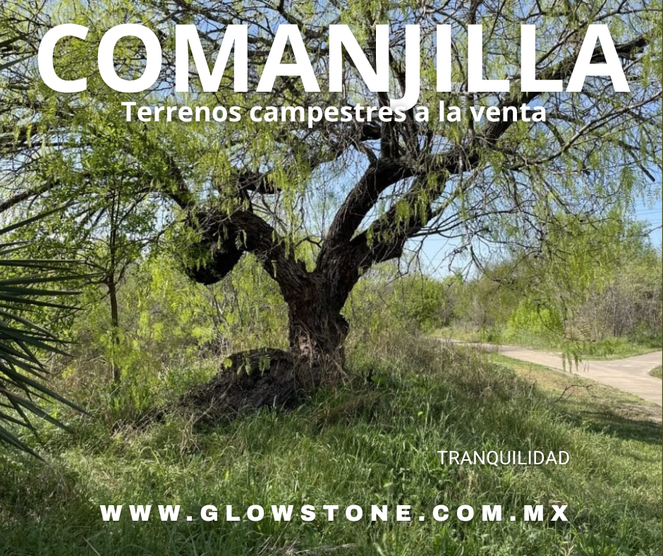 TERRENO EN VENTA EN COMANJILLA