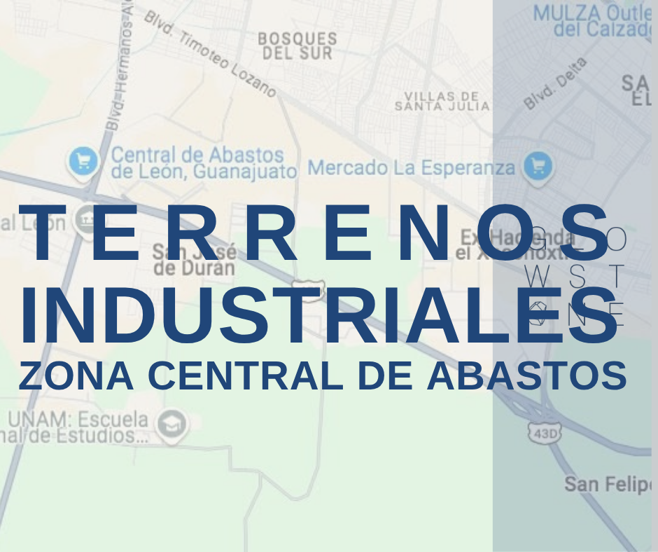 TERRENOS ZONA CENTRAL DE ABASTOS