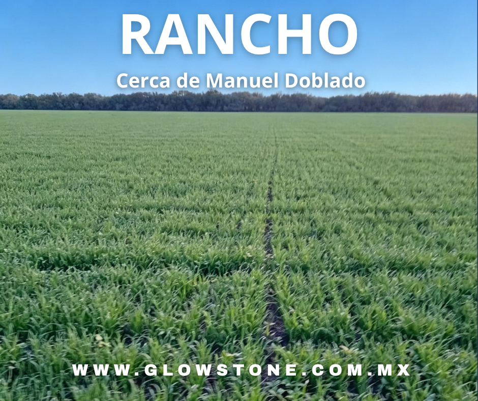 RANCHO AGRÍCOLA MANUEL DOBLADO
