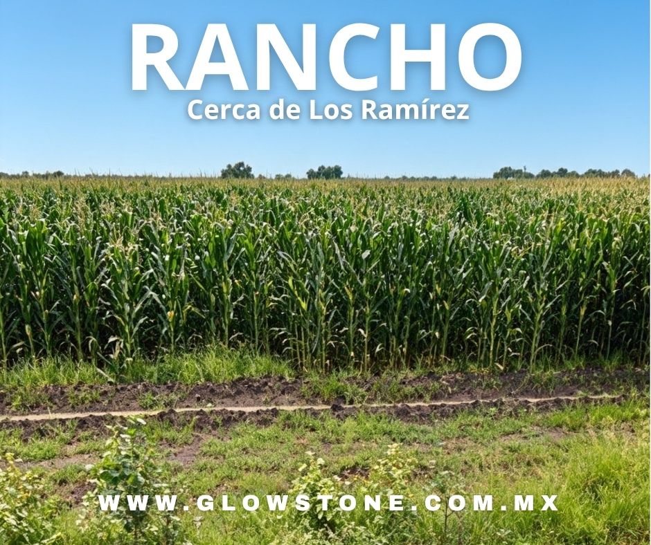 Rancho en Venta Cerca de Los Ramírez Guanajuato | 10 Hectáreas Productivas con Pozo y Frente a Carretera