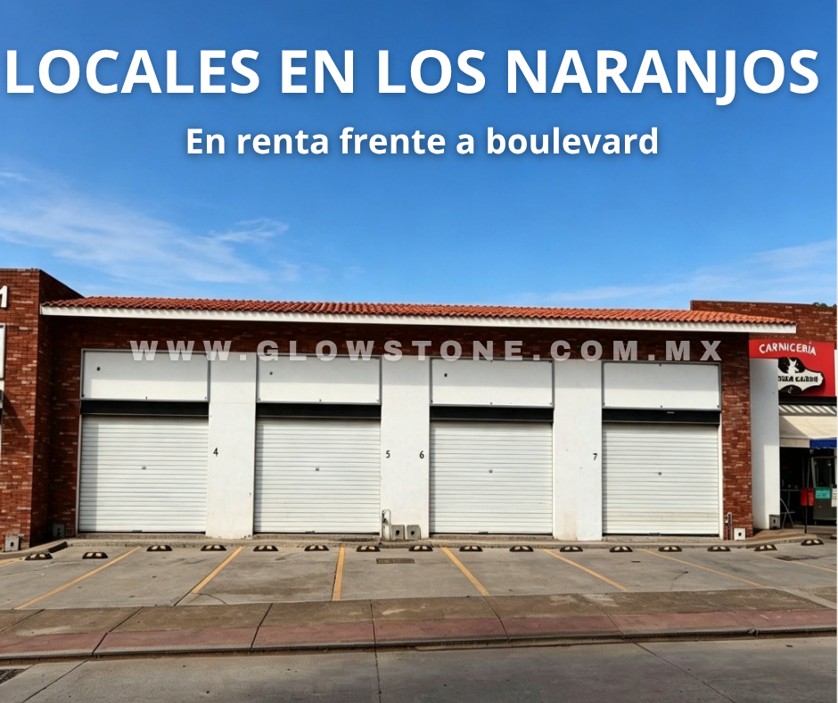 Local comercial en renta en León Guanajuato