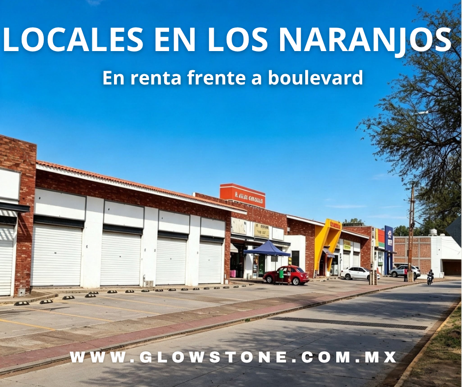 Local Comercial en Renta en León Guanajuato – Nuevo, Desde 76.82 m²