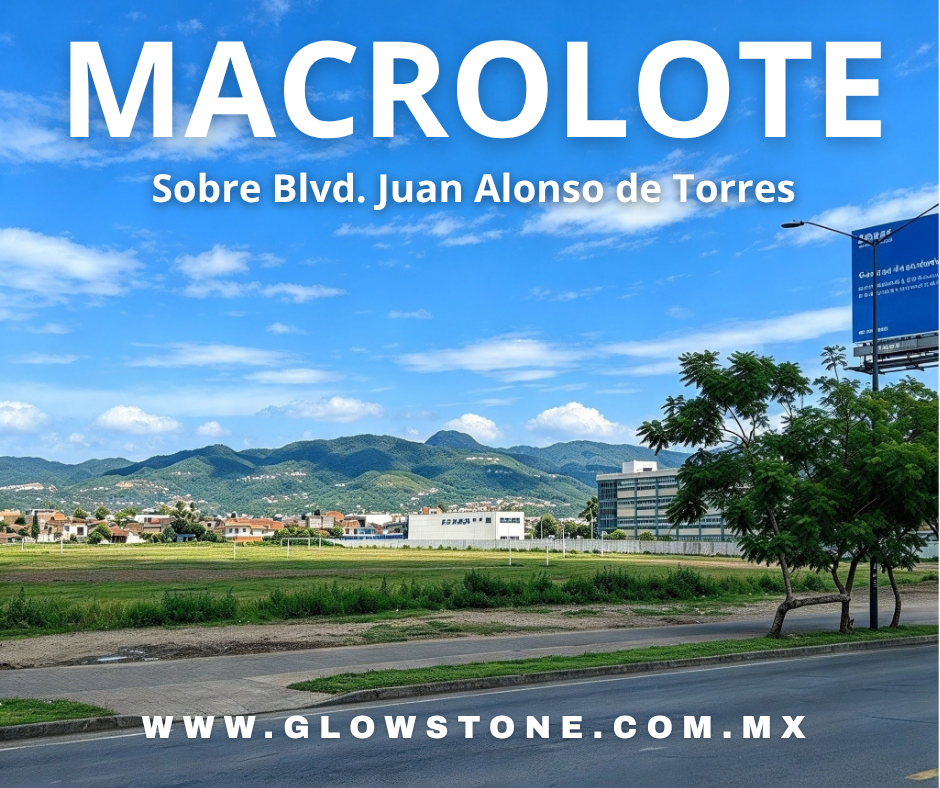 macrolote en venta en León